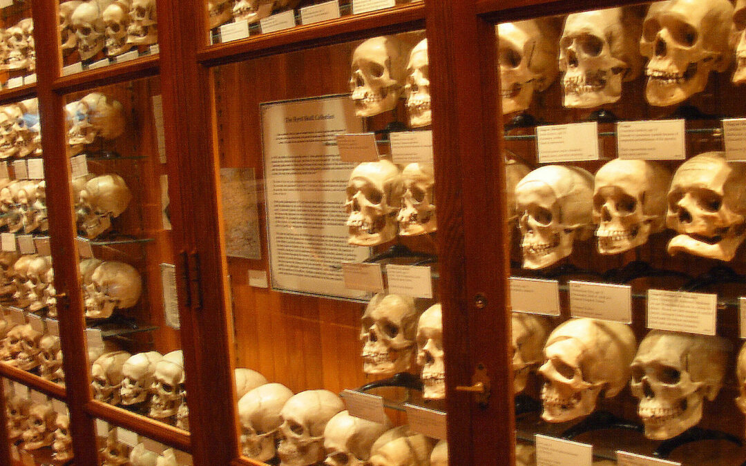 Bone Rooms: How Elite Schools and Museums Amassed Black and Native Human Remains Without Consent | Democracy Now!